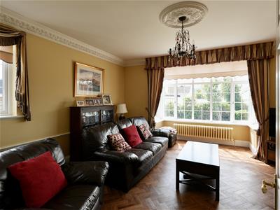 Picture 12